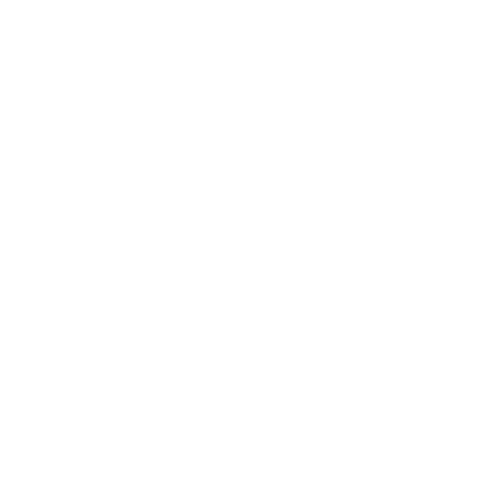 Il Gatto e la Volpe